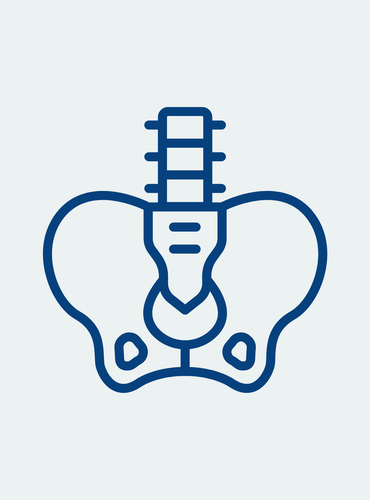 Stilisiertes Icon eines Beckens mit Wirbelsäule zur Darstellung der menschlichen Anatomie und Orthopädie