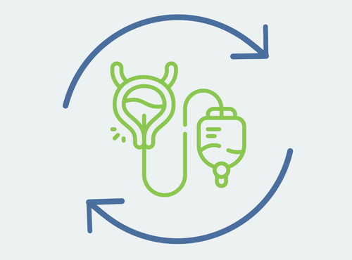 Icon: grüne Harnblase mit Katheter und Sammelbeutel, umgeben von zwei blauen Kreispfeilen